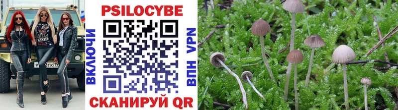 Галлюциногенные грибы прущие грибы  Южа 